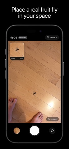 flyOS screenshot 2