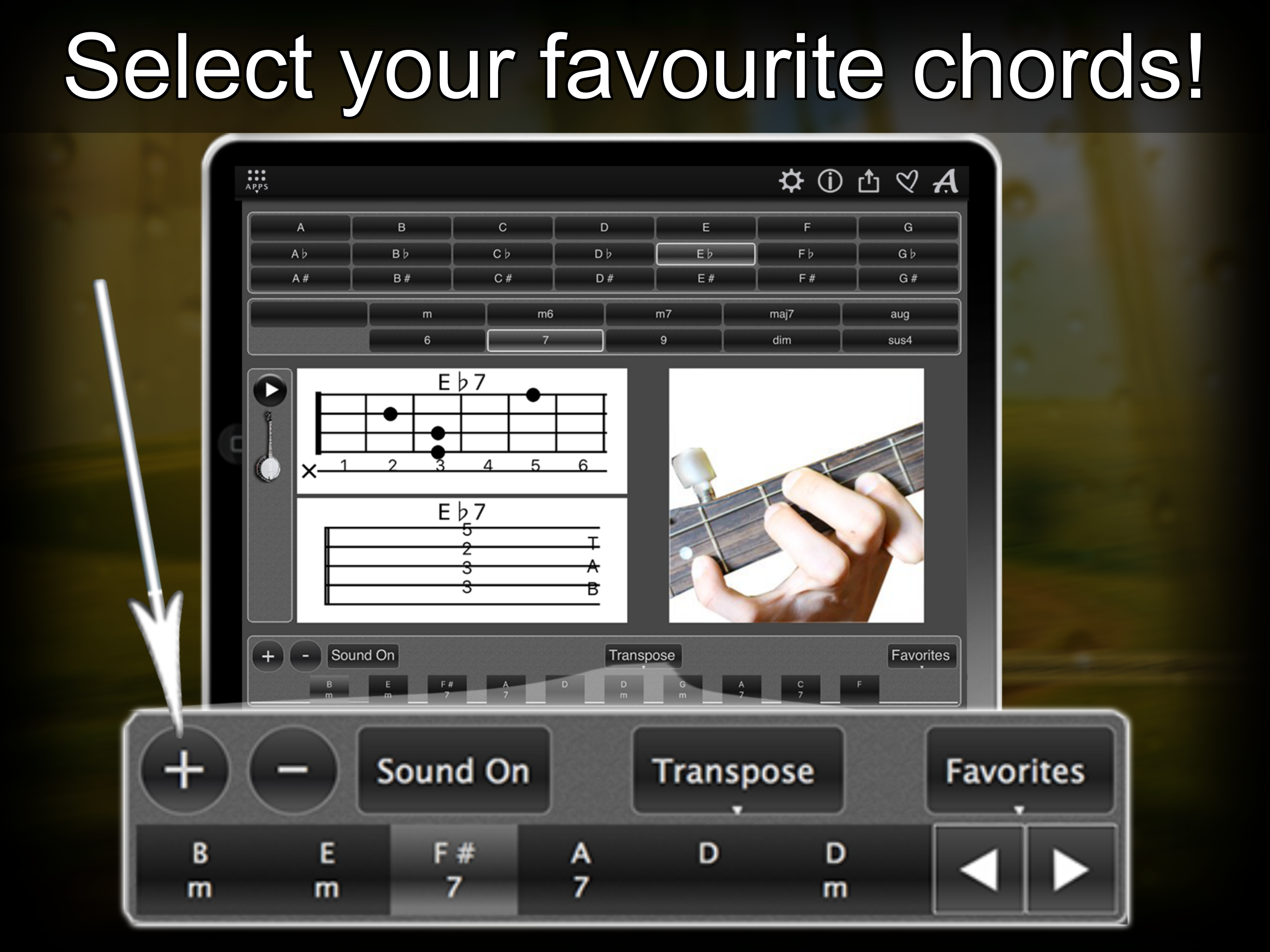 120 Banjo Chords