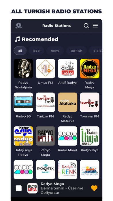 Radio Turkey Online Screenshot