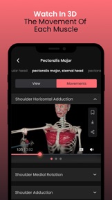 Muscle & Motion: Anatomy screenshot
