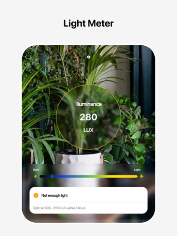 Plant Identifier - Leafora AI iPad screenshot