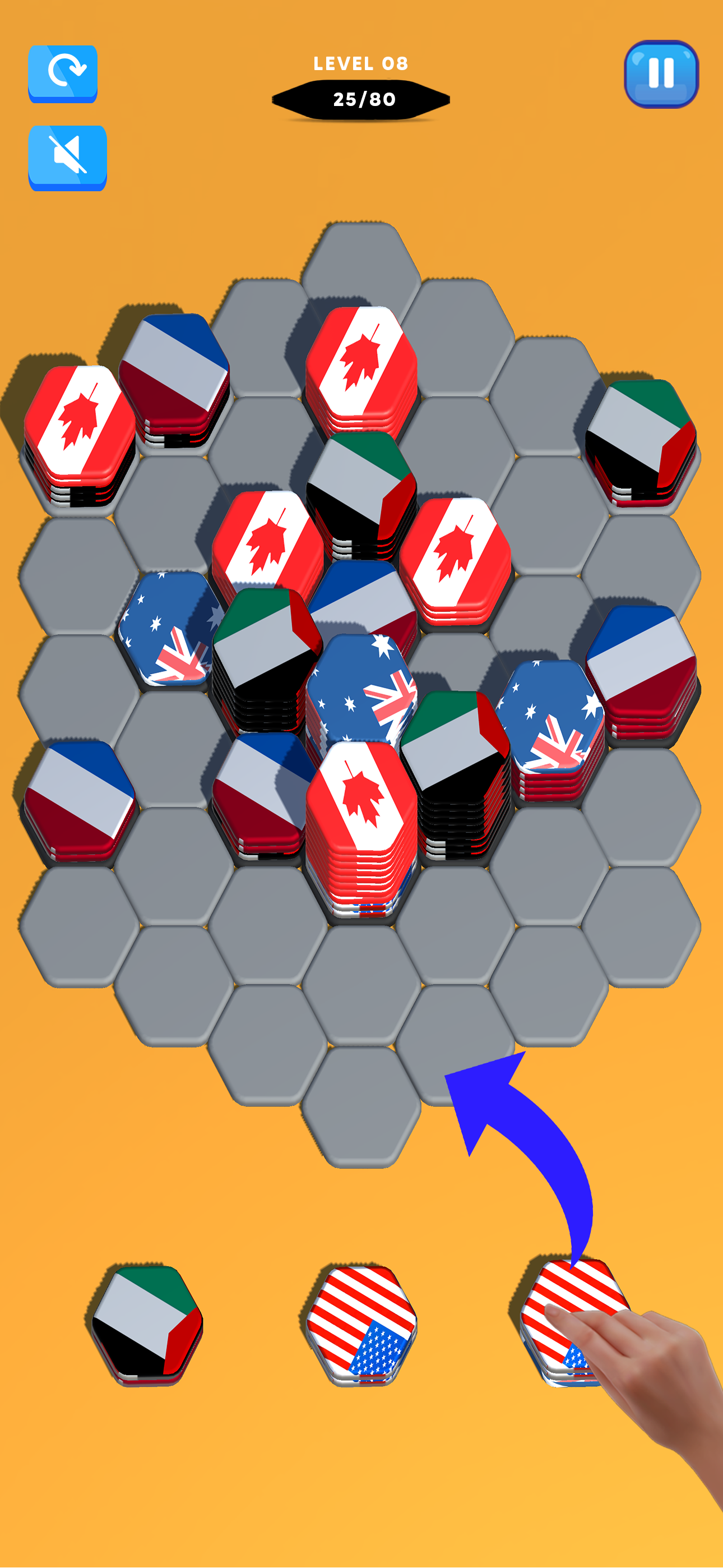 Hexagonal Flag: Sort Puzzle 3d screenshot 2