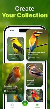 Bird Song Identifier・Sounds ID screenshot 6