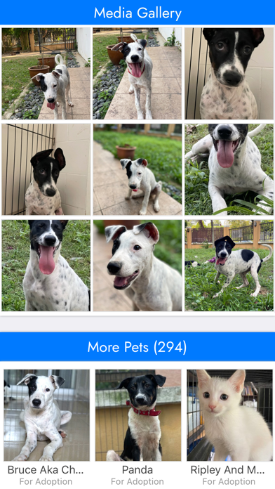 PetFinder.my Screenshot