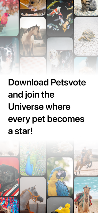 Petsvote Screenshot 6 of 6