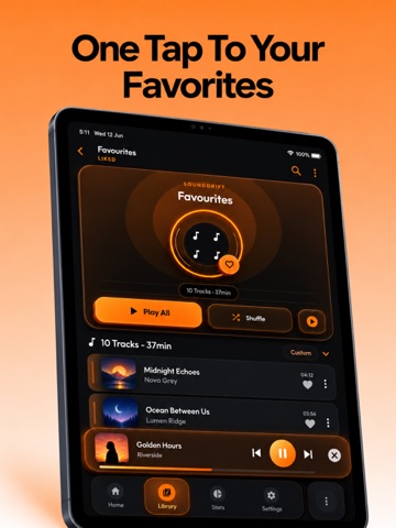 Larк Music Player: Offline mp3 iPad screenshot 5
