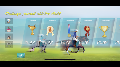 SnB Polo Pro Screenshot