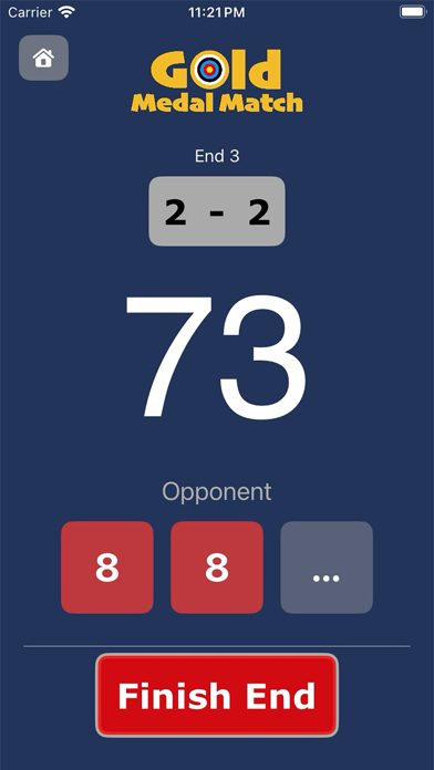 Gold Medal Match Screenshot