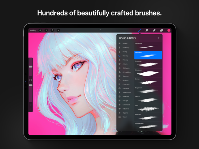 ‎Procreate Screenshot