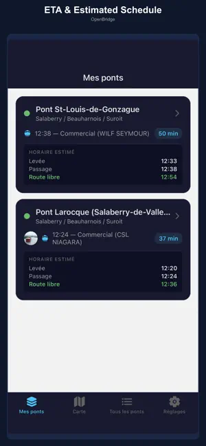OpenBridge iPhone screenshot 3