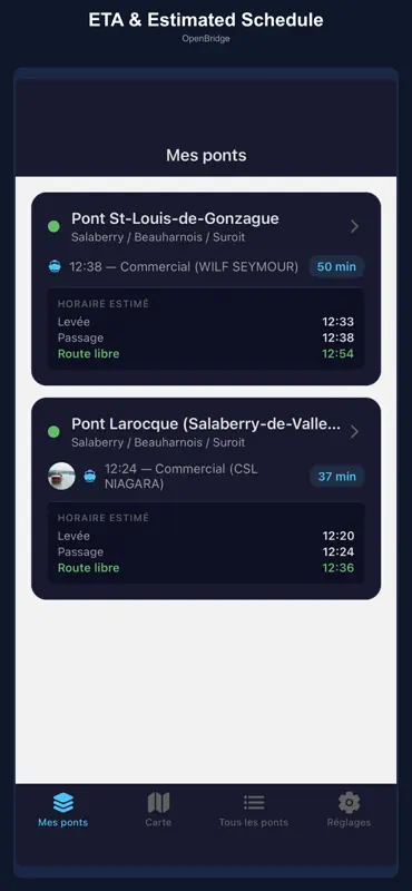 OpenBridge screenshot 3 of 6