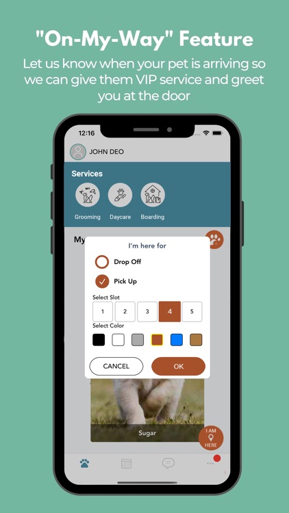 Custom Canine Grooming