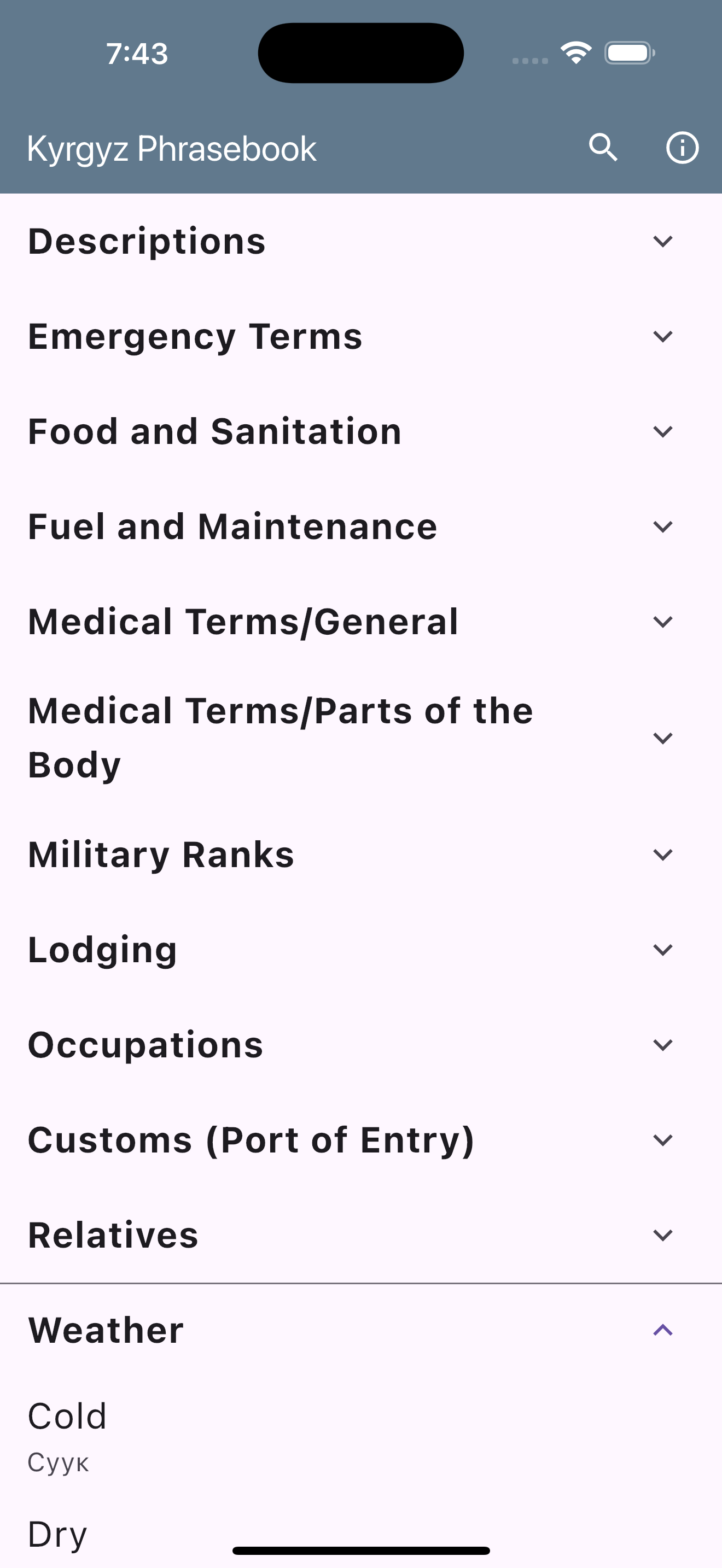 Kyrgyz Phrasebook screenshot 8