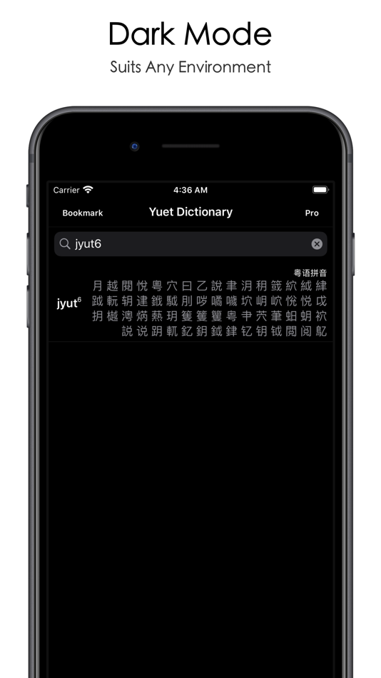 #5. Cantonese/Yuet Dictionary Pro (iOS) By: Chun Kai Lau