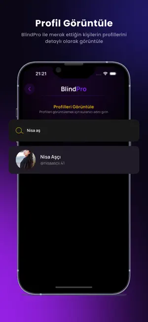 BlindPro - Analiz screenshot 4