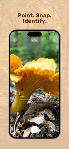 Mushroom AI: Smart Identifier Screenshot 1 of 4