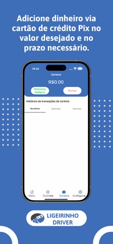 LIGEIRINHO DRIVER BR screenshot