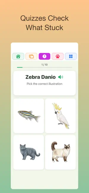 GrowLearn screenshot 4