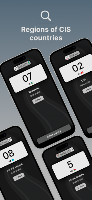 RegAuto - License Plate Codes Screenshot 6 of 6