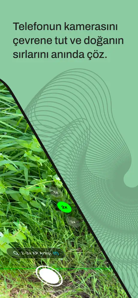 EcoField screenshot 2