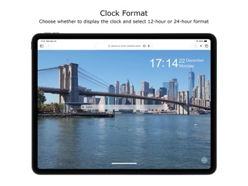 Aerial View Tab for Safari iPad screenshot