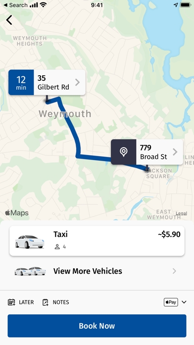 Town Taxi. Screenshot