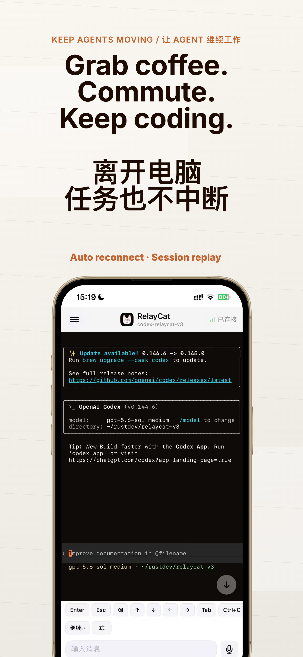 RelayCat编程助手 screenshot 4
