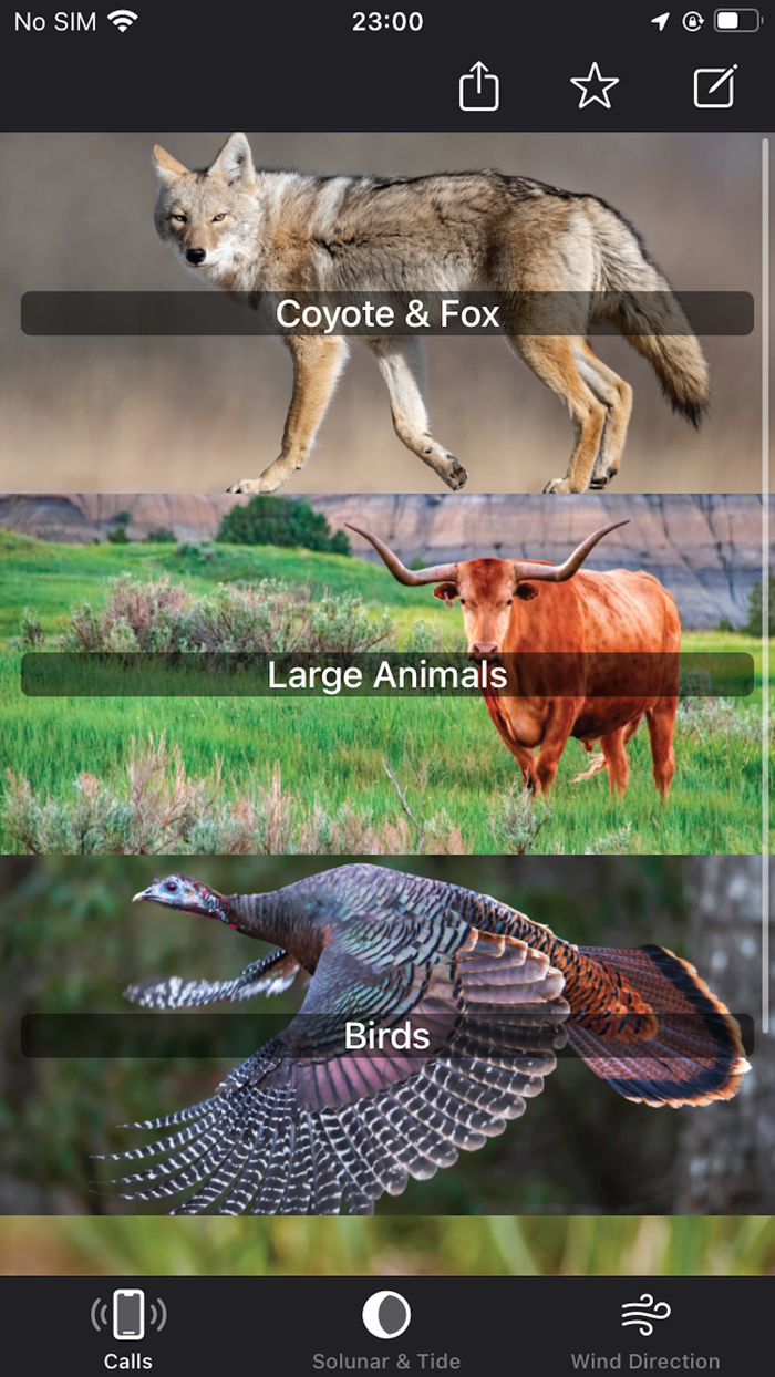 Coyote and Predator Calls