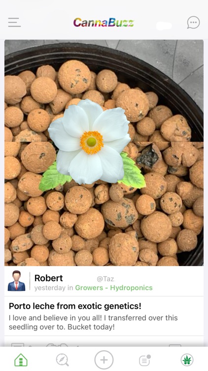 CannaBuzz - Cannabis Social