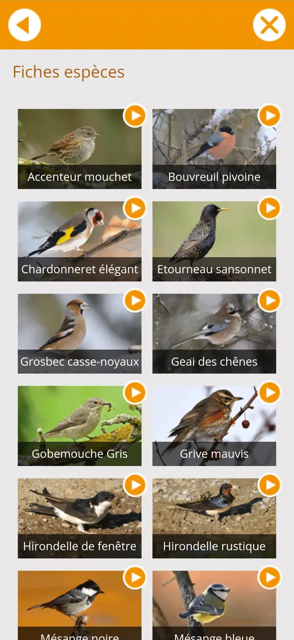 Screenshot #3 pour ABC Villeneuve
