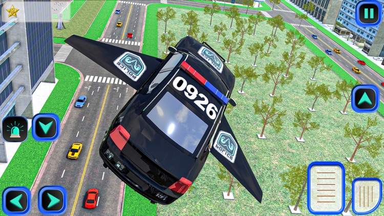 Flying Policy Car Crime City