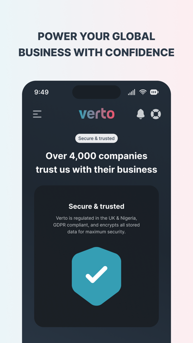 Verto Pay Screenshot