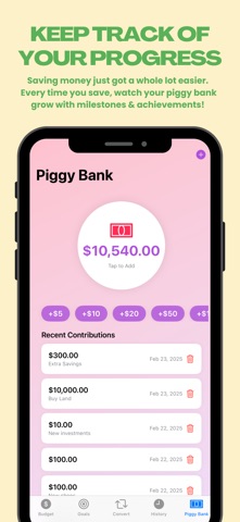 My Budget Friend screenshot