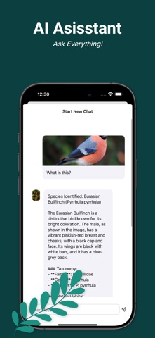 Bird Identifier AI – Birdpicx Screenshot 7 of 8