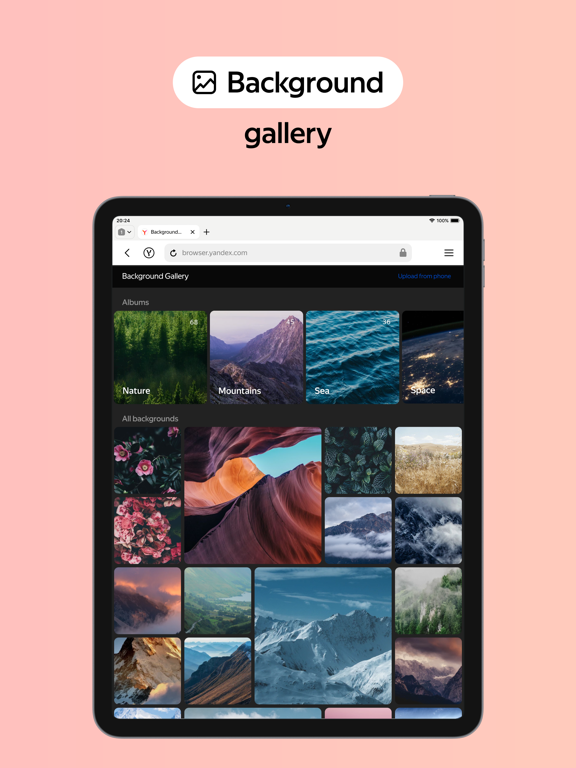 Yandex Browser with Alice AI iPad screenshot 5 - Utilities app
