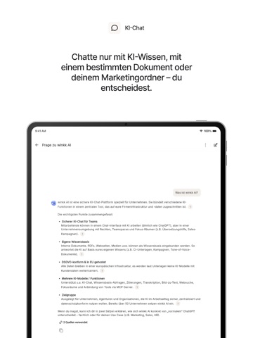 winkk AI iPad screenshot