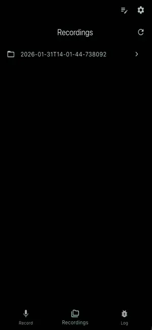 Record and Summarize screenshot 2