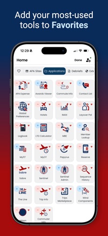 APA Pilot 3 screenshot