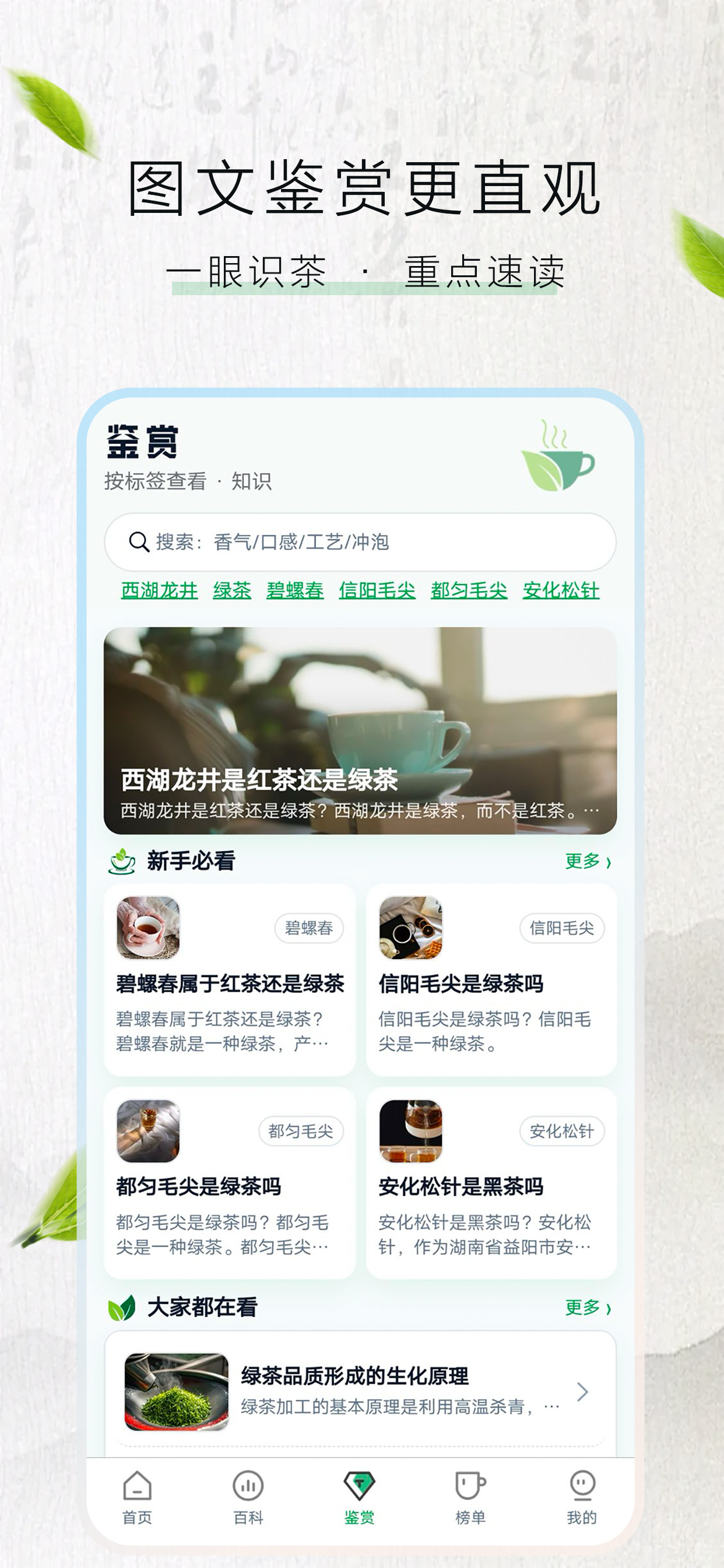 悟到茶鉴
