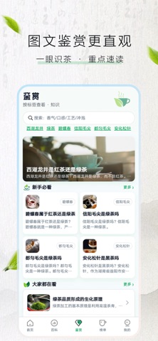 悟到茶鉴 screenshot