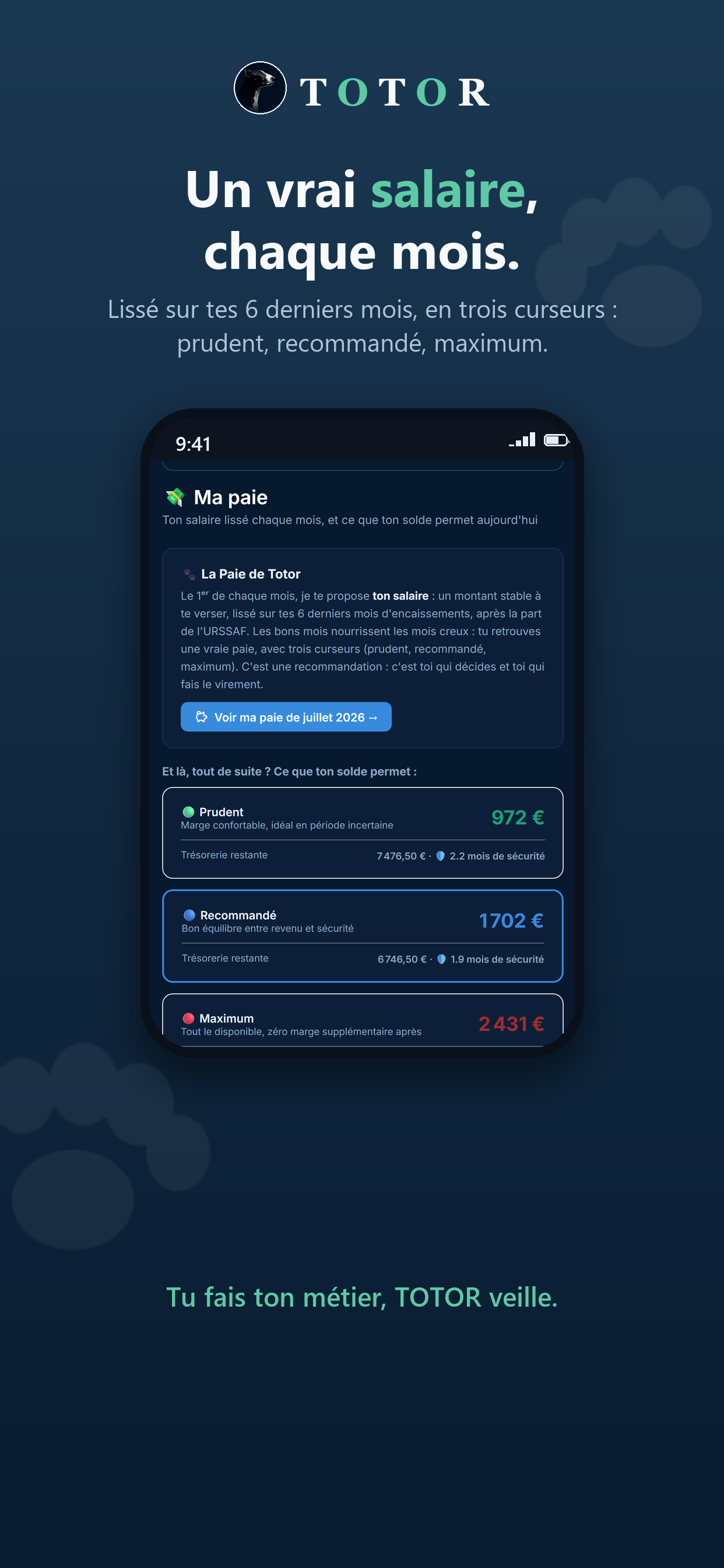 TOTOR screenshot 8