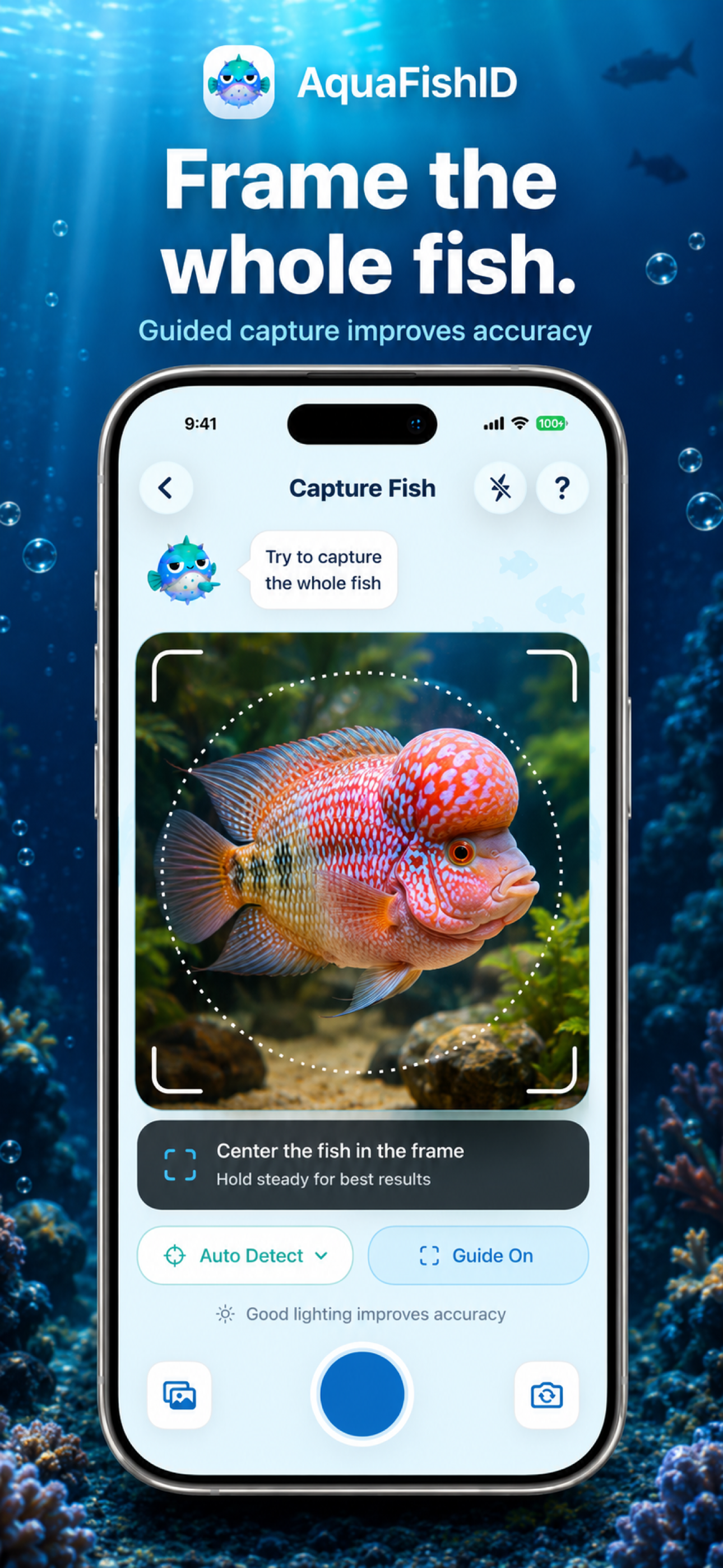 Aqua Fish ID: Aquarium Care screenshot 3