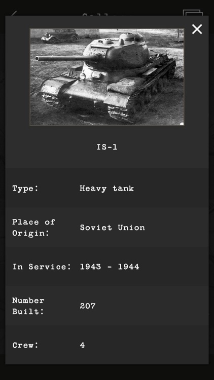 Guess the World War II Weapon screenshot-6