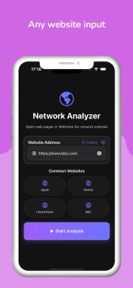 NetLens screenshot