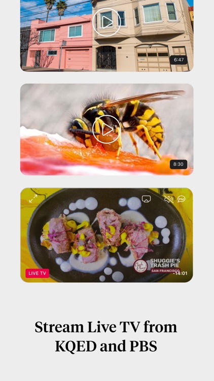 KQED: Bay Area Culture & News screenshot-5