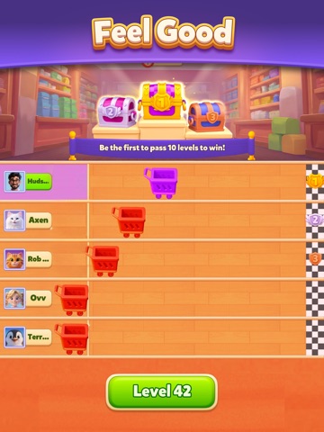 Marble Loop - Ball Sort iPad screenshot