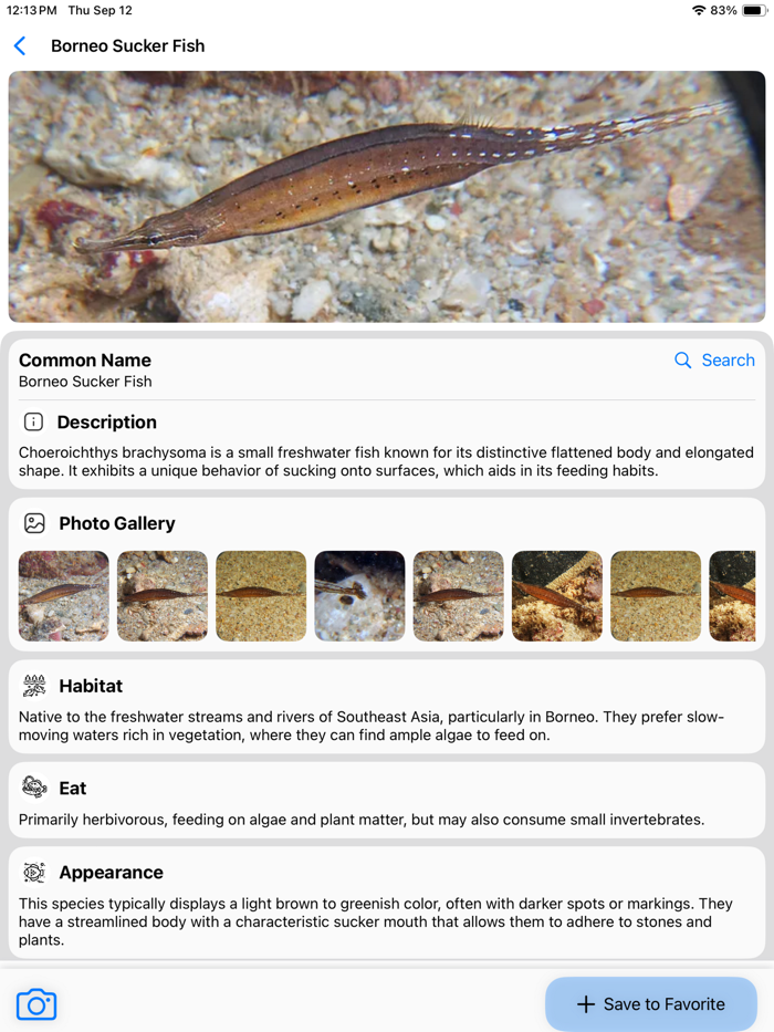 Fish Identify AI Scanner