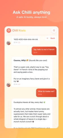 Chilli Koala: Learn & Explore screenshot 8