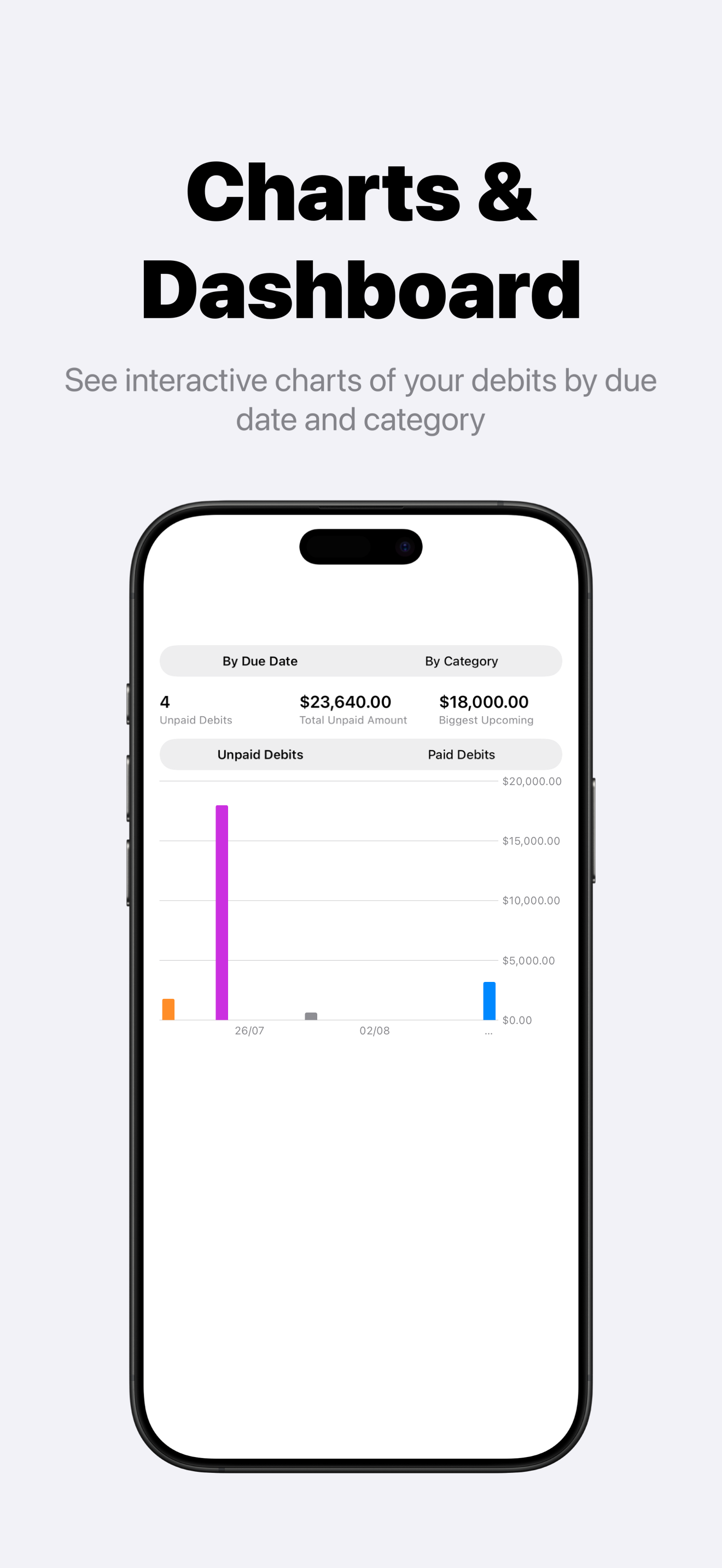 DebitTracker screenshot 4