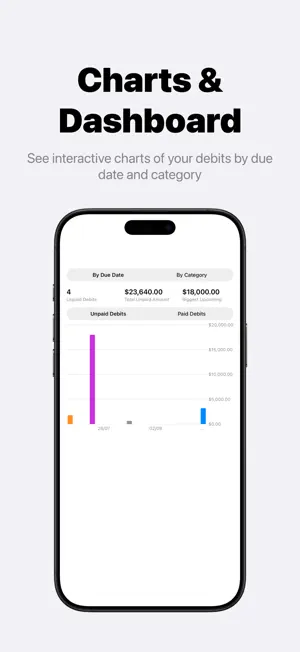 DebitTracker screenshot 4